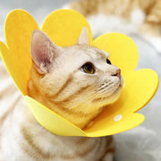 flower pet collar, view 3 - MRSLM