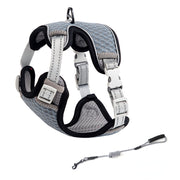 reflective cat harness and leash set, view 2 - MRSLM