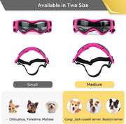 small dog sunglasses, view 7 - MRSLM
