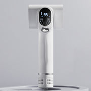 pet hair dryer and grooming comb - MRSLM