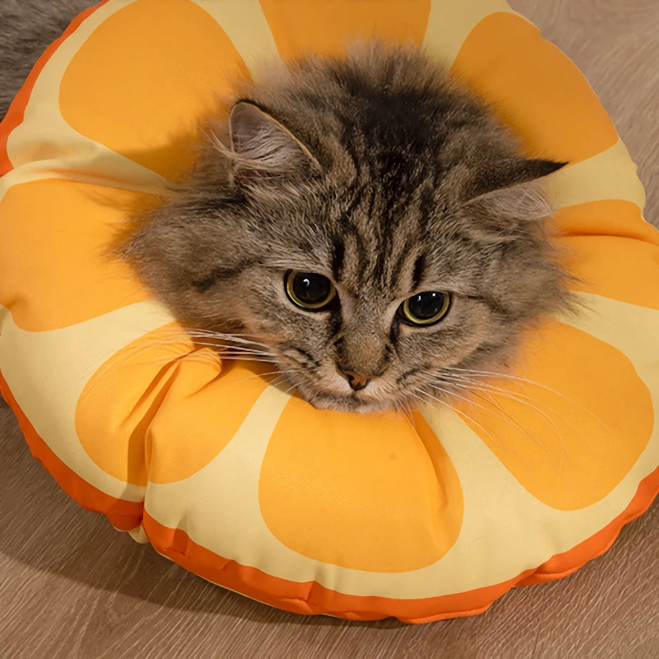 Orange Fruit Shaped Protective Neck Collar for Cats