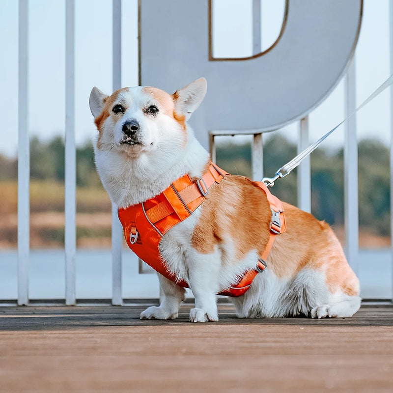reflective nylon dog harness, view 4 - MRSLM