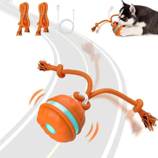 motion-activated rolling dog ball - MRSLM