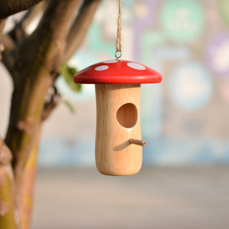 Wooden hummingbird nest - MRSLM