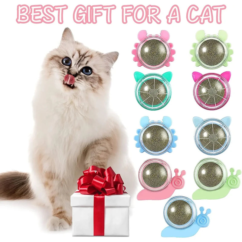 catnip wall ball toy for cats, view 12 - MRSLM