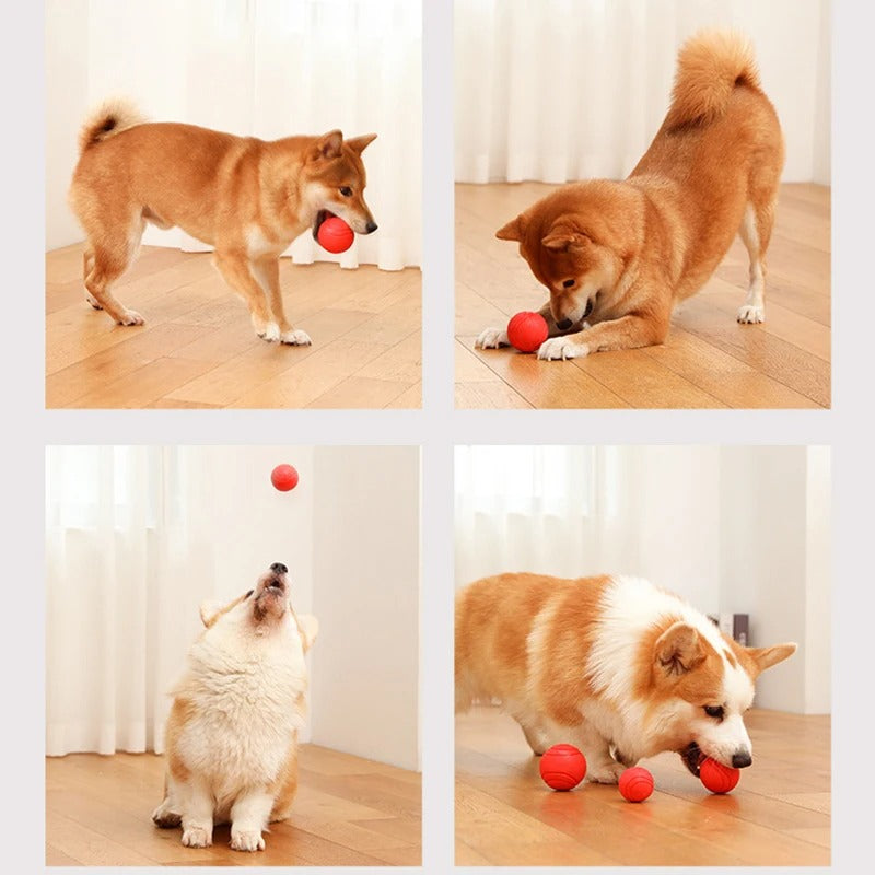 Rubber bite-resistant dog training ball, view 4 - MRSLM