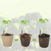 Biodegradable paper nursery pots and plant labels set, view 7 - MRSLM