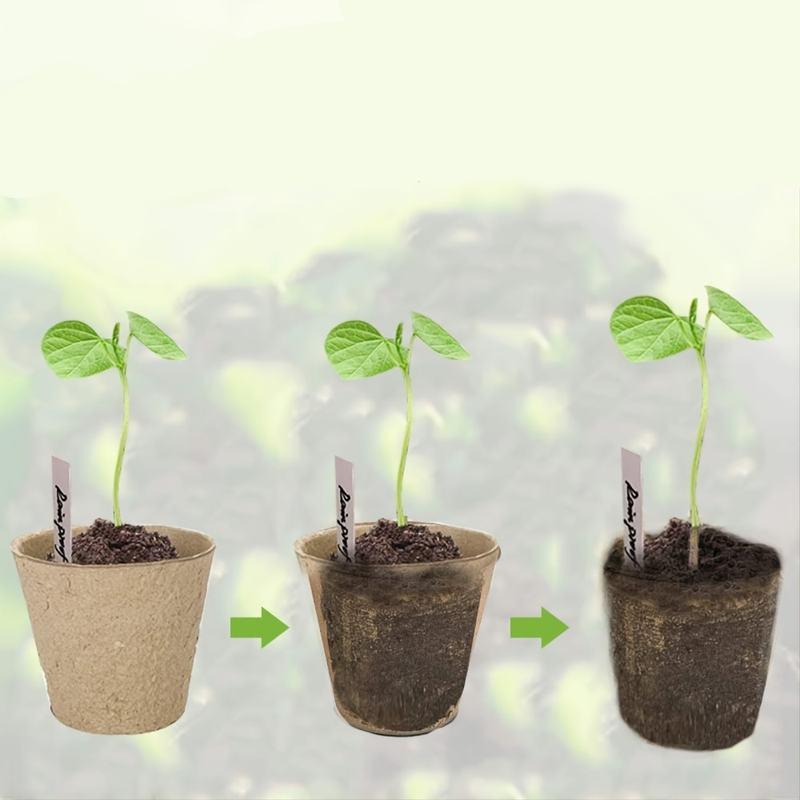 Biodegradable paper nursery pots and plant labels set, view 7 - MRSLM
