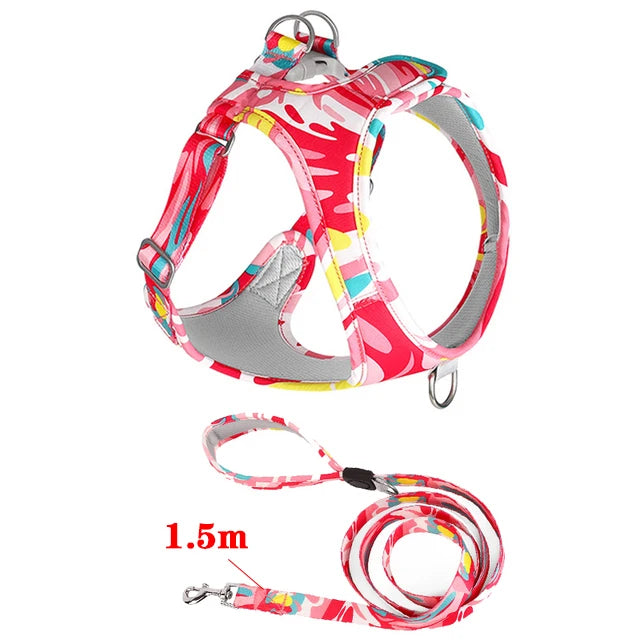 personalized LED light harness, view 2 - MRSLM