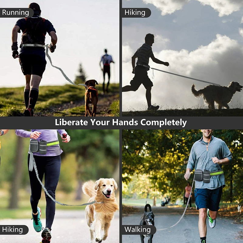 reflective hands-free dog leash with waist belt, view 6 - MRSLM