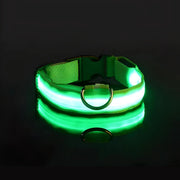 LED dog collar, view 2 - MRSLM