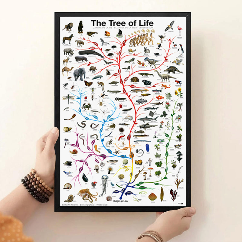 evolution tree of life canvas poster, view 2 - MRSLM