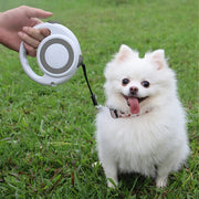 5m retractable dog leash, view 2 - MRSLM