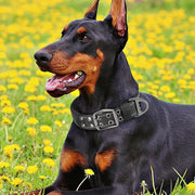 adjustable tactical nylon dog collar, view 6 - MRSLM