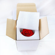 Rose gift with barrel box, view 4 - MRSLM