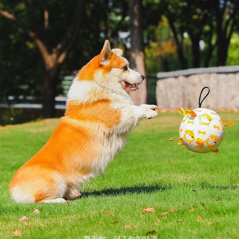 dog football toy with grab tabs, view 8 - MRSLM