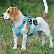 adjustable reflective dog harness, view 5 - MRSLM