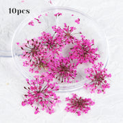 3d dried flower nail art decorations, view 3 - MRSLM