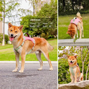 comfort fit pu leather dog harness, view 9 - MRSLM