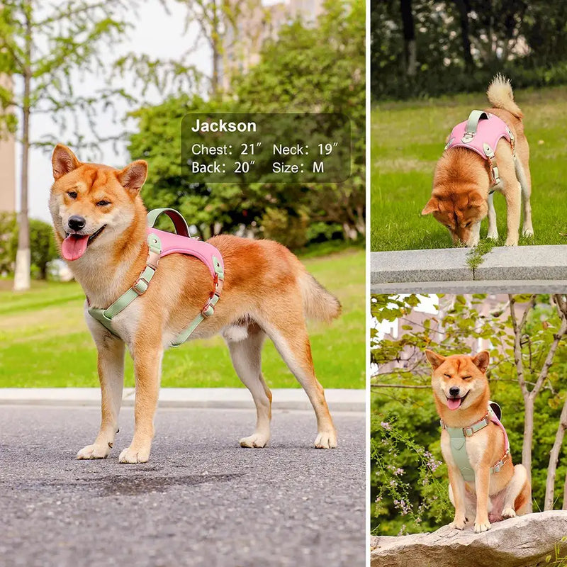 comfort fit pu leather dog harness, view 9 - MRSLM