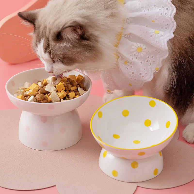 elevated ceramic pet bowl, view 10 - MRSLM