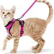 cat harness and leash, view 3 - MRSLM