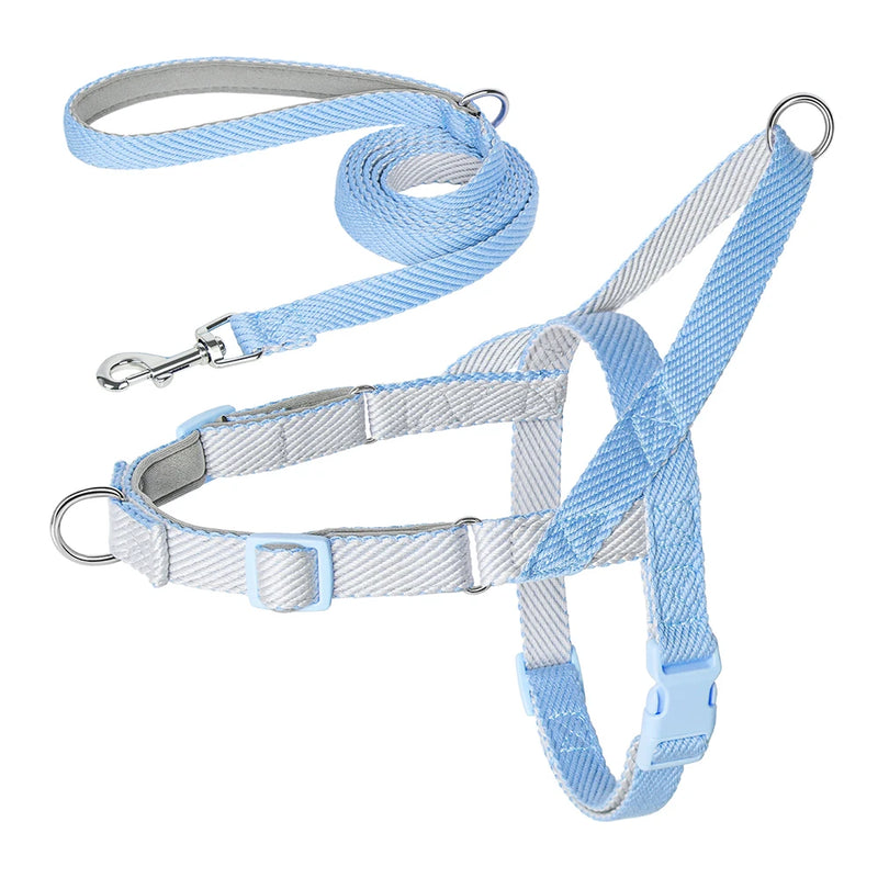 adjustable no-pull dog harness and leash set, view 2 - MRSLM