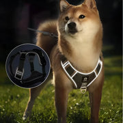 adjustable reflective dog harness with leash, view 6 - MRSLM