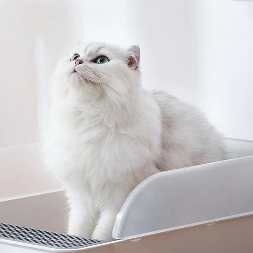 smart cat odor purifier - MRSLM