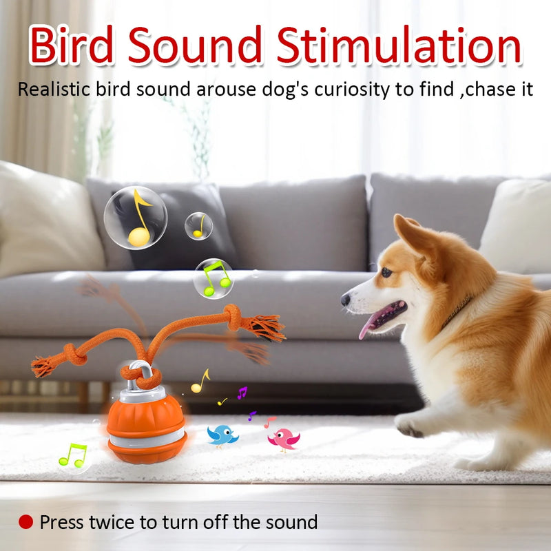 Motion-activated dog toy ball, view 3 - MRSLM