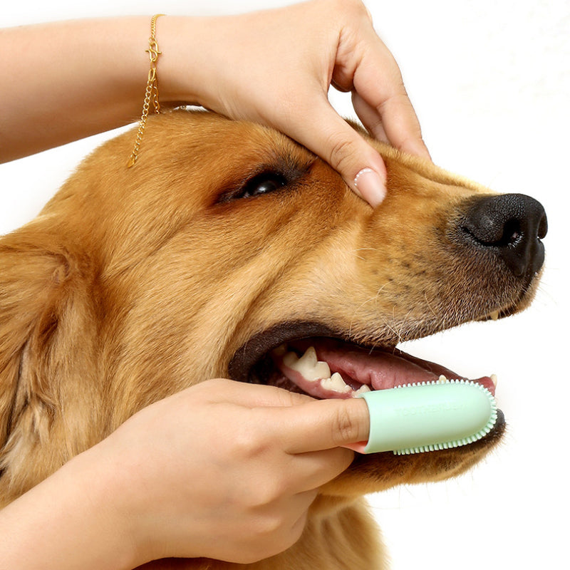 pet finger toothbrush, view 5 - MRSLM