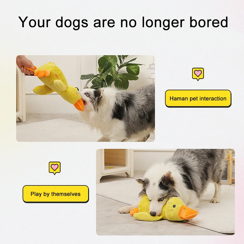 duck shape quacking dog toy, view 6 - MRSLM