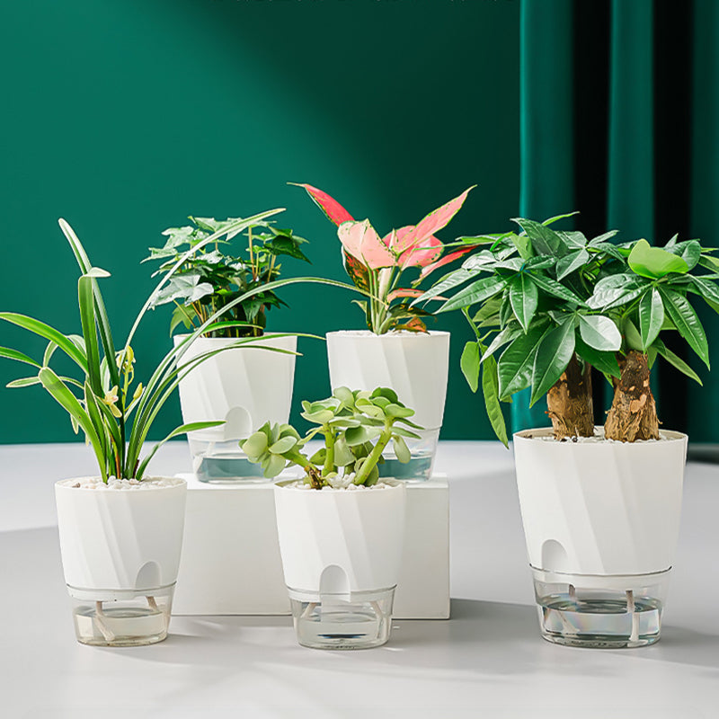 Efficient Self-Watering Transparent Planter