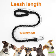 stretchable dog leash, view 7 - MRSLM
