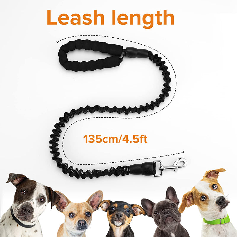 stretchable dog leash, view 7 - MRSLM