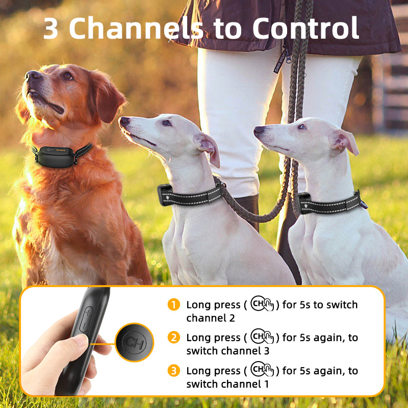 Electric Dog Training Collar