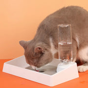 pet double bowl with water dispenser, view 6 - MRSLM