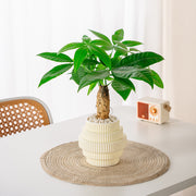 Self-watering hydroponic plant pot, view 7 - MRSLM