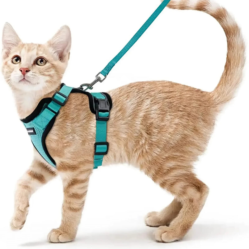 cat harness and leash, view 8 - MRSLM