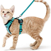 cat harness and leash, view 9 - MRSLM