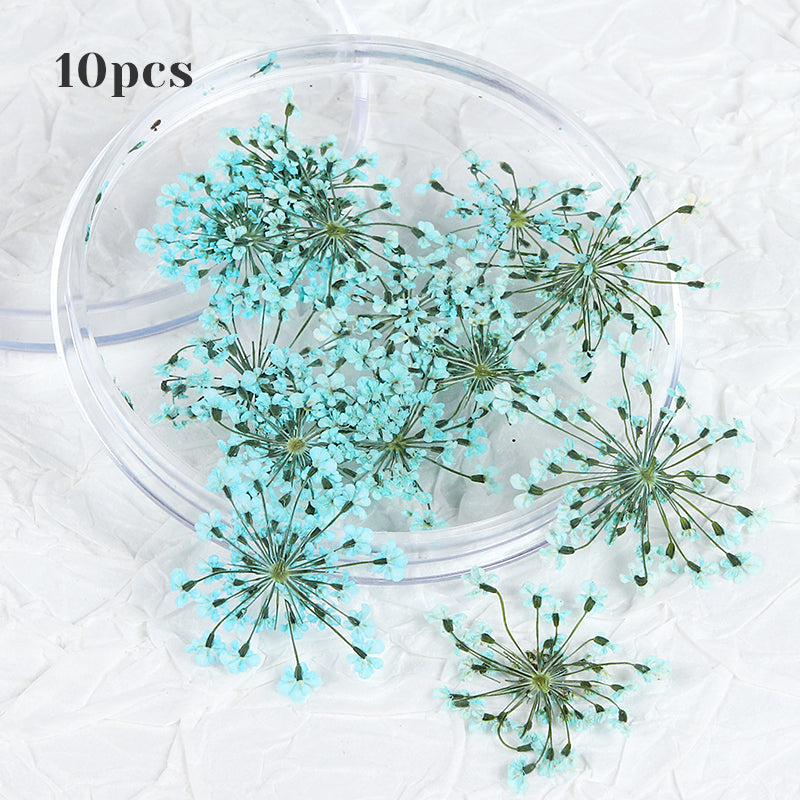 3d dried flower nail art decorations, view 10 - MRSLM