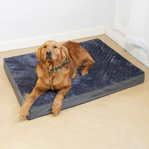 removable soft dog bed mat - MRSLM