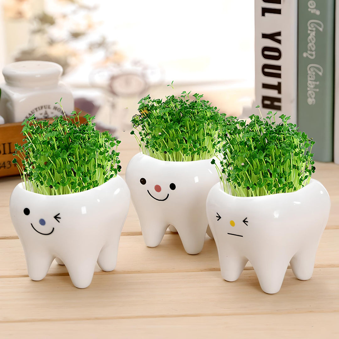 Charming Ceramic Tooth-Shaped Planter for Succulents and Cacti