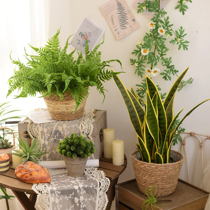 Straw woven plant basket set, view 5 - MRSLM