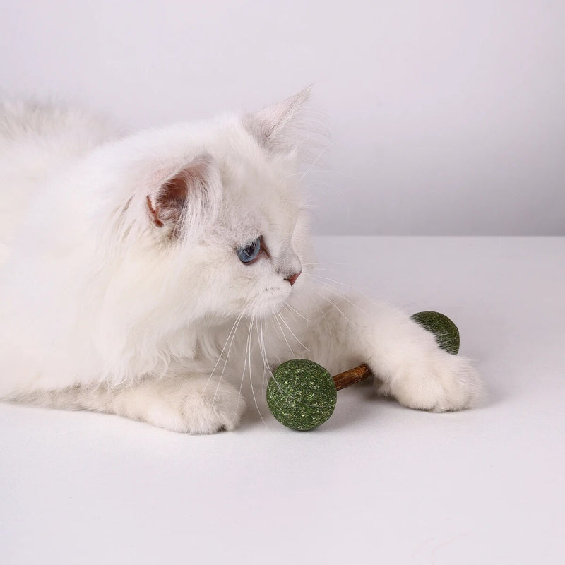 catnip dumbbell toy for cats, view 5 - MRSLM