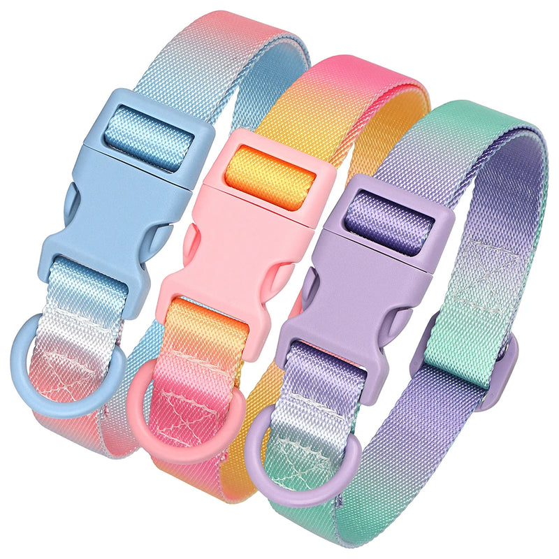 printed nylon dog collar, view 8 - MRSLM