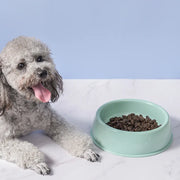 wheat stalk pet food and water bowls, view 7 - MRSLM