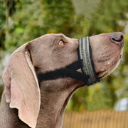 reflective dog muzzle - MRSLM