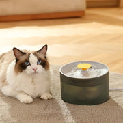 automatic pet water dispenser, view 4 - MRSLM