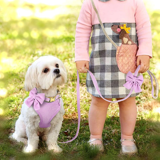 Adjustable mesh dog harness and leash set with bowknot - MRSLM